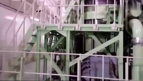 集裝箱船的發(fā)動(dòng)機(jī) 機(jī)電設(shè)備實(shí)拍 頭一次見