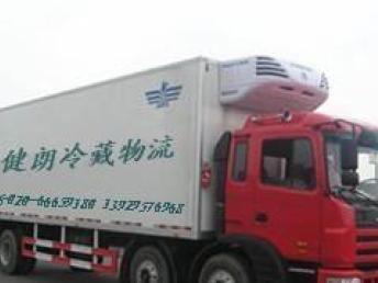 從廣州到上海的專業(yè)冷鏈物流解決方案 冷藏運輸與順德專線服務(wù)